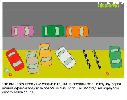Вот какими должны быть правила дорожного движения