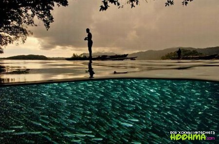 Необычайно красивые фотографии National Geographic