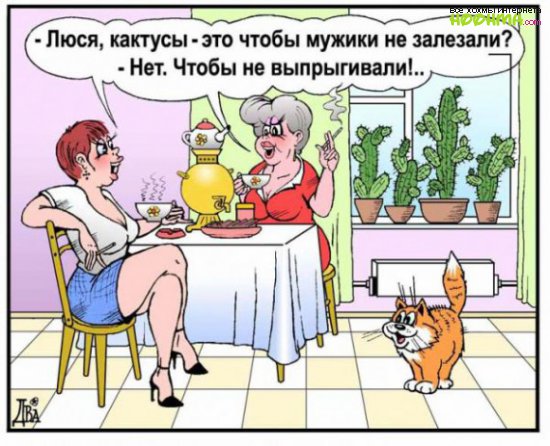 Комиксы с рыжим котом