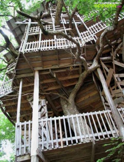 Самый большой деревянный дом