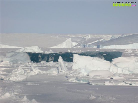 Фотографии Арктики