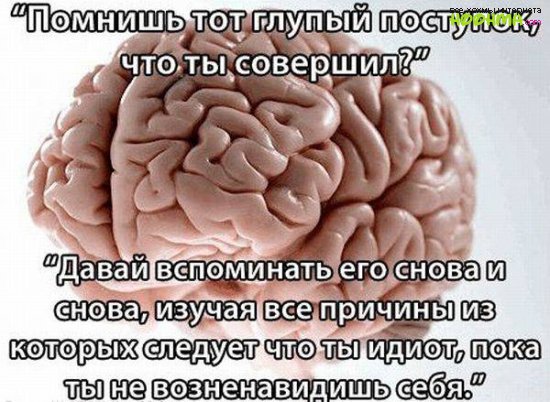 Наш мозг коварен 