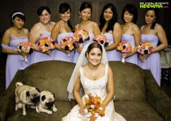 Испорченные свадебные фотографии