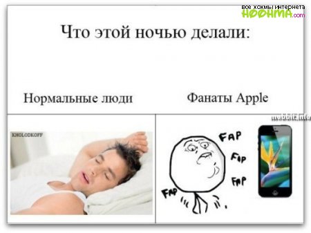   iPhone 5