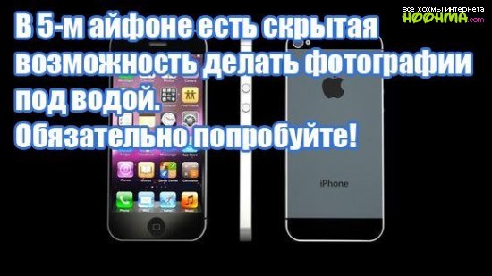   iPhone 5