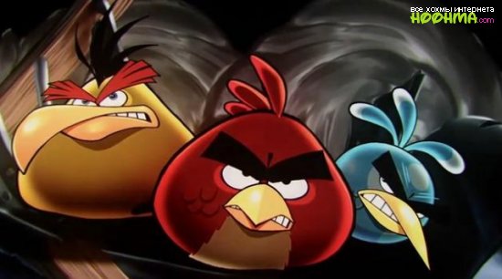 Играем в Angry Birds вживую
