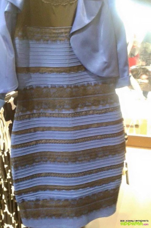 Какого цвета платье? Мем, который разделил интернет пополам